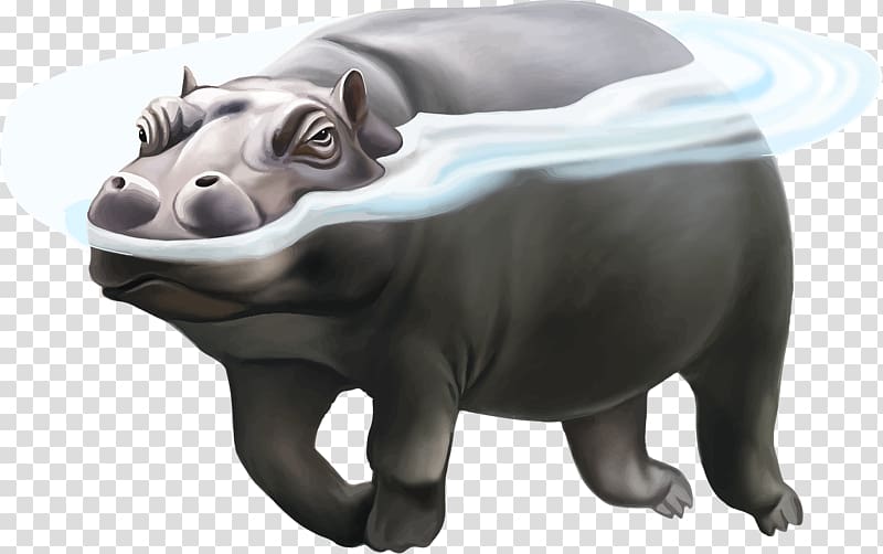 Hippopotamus Rhinoceros Polar bear Illustration, Water Hippo transparent background PNG clipart