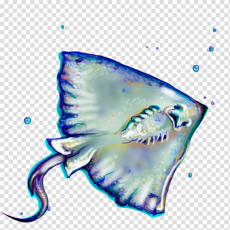 Marine biology Marine mammal Invertebrate, stingray transparent background PNG clipart