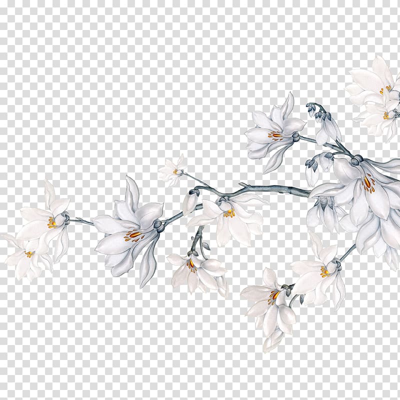 white magnolia flowers illustration, Squid Flower Wedding invitation, Squid transparent background PNG clipart