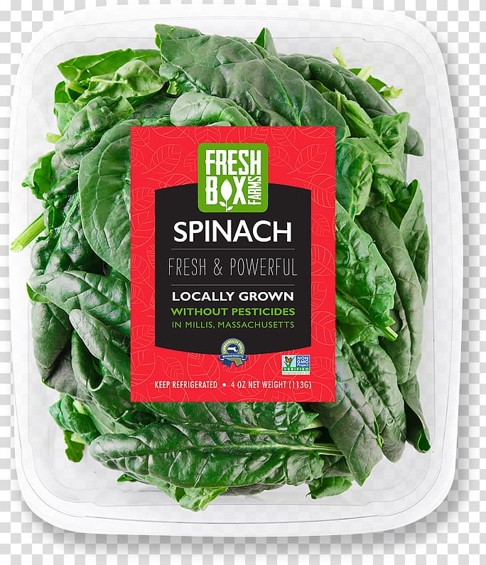 Spinach Vegetarian cuisine Spring greens Chard Rapini, spinach transparent background PNG clipart