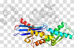 Line Point , line transparent background PNG clipart thumbnail