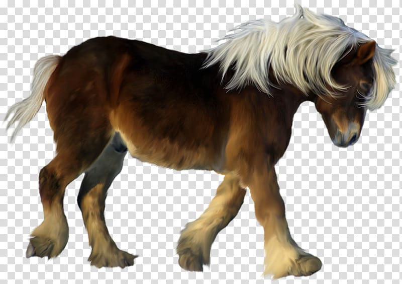 brown foal painting, American Miniature Horse My Little Pony Icon, Brown Pony 3D transparent background PNG clipart