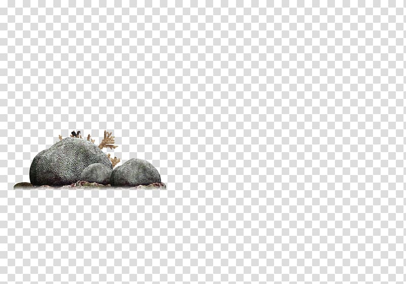 Rat Snout Pattern, Seabed Stone transparent background PNG clipart