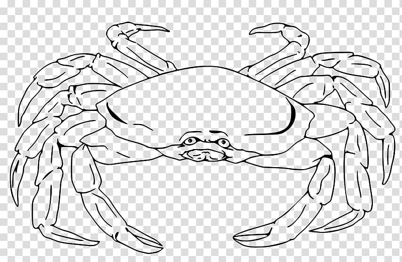 Crab Drawing Line art , crab transparent background PNG clipart
