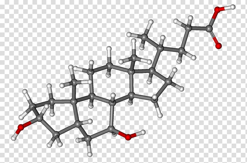 Ursodiol Bile acid Liver Molecule, bar code transparent background PNG clipart