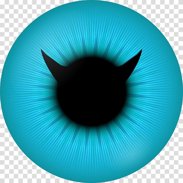Iris Eye color Pupil, pupil transparent background PNG clipart