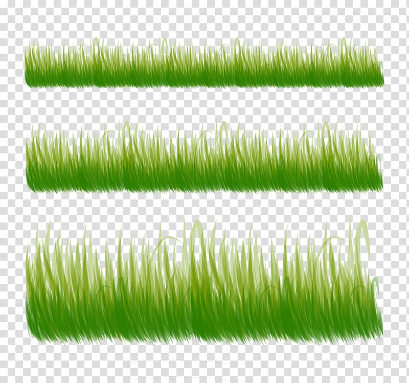 Three kind of grass transparent background PNG clipart