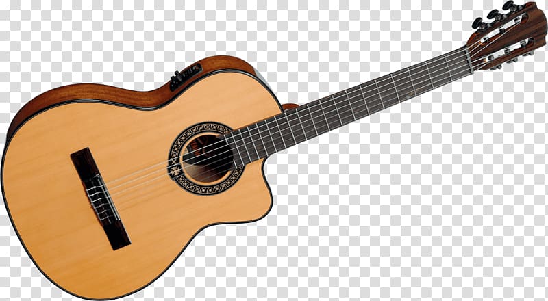 Taylor Guitars Lag Classical guitar Acoustic-electric guitar Acoustic guitar, glaçon transparent background PNG clipart