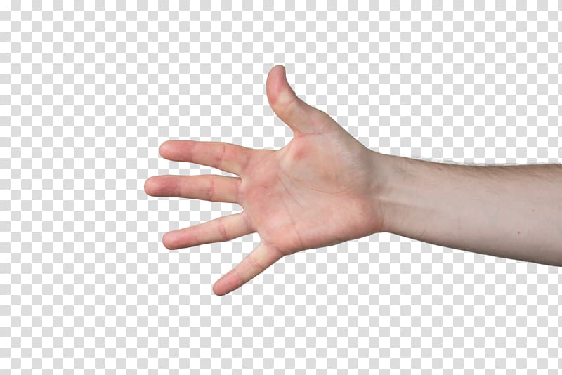 Hand Arm Finger Thumb, hands transparent background PNG clipart