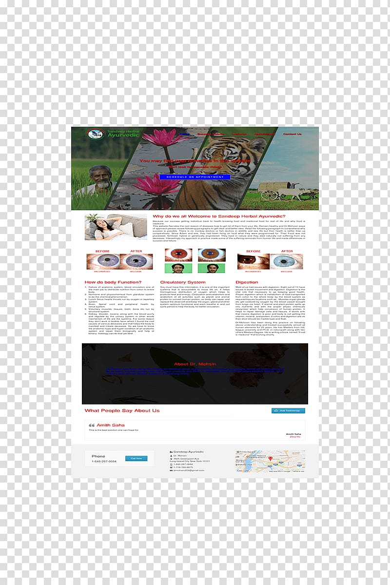 Display advertising Brand Multimedia Font, ayurvedic transparent background PNG clipart