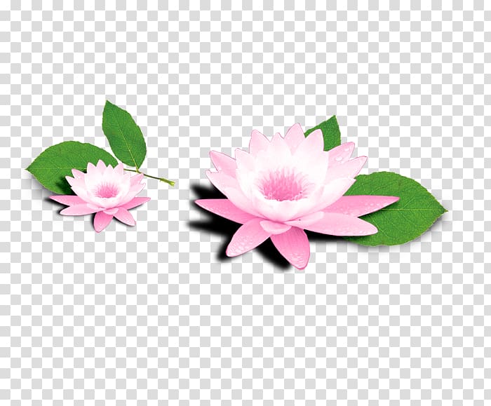 Taobao JD.com, Hand-painted lotus transparent background PNG clipart