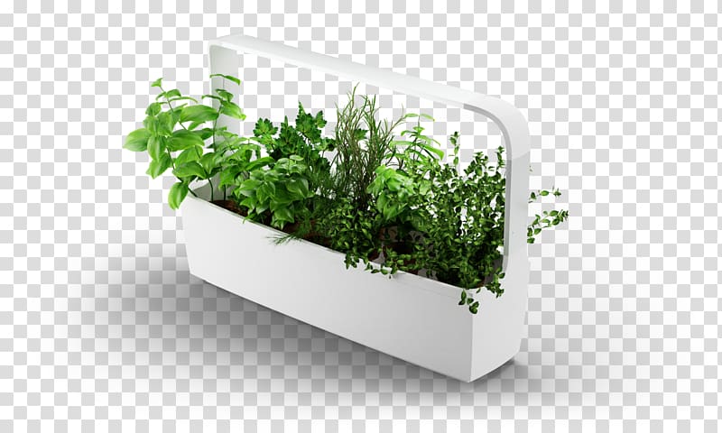 Kitchen garden Garden designer, design transparent background PNG clipart
