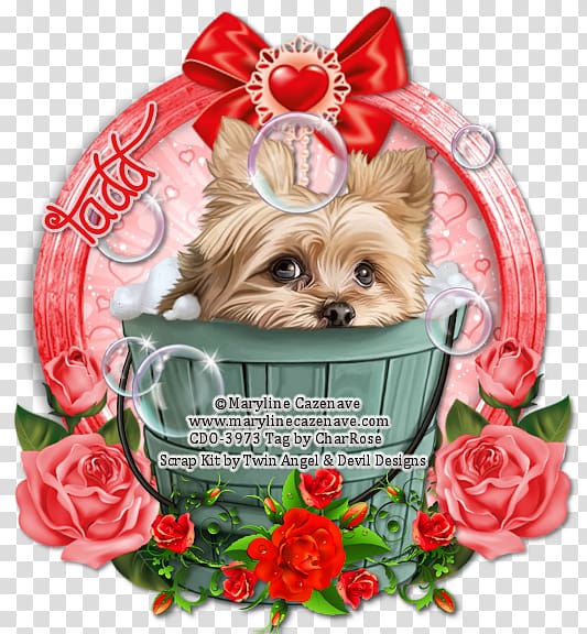 Yorkshire Terrier Cairn Terrier Morkie Puppy, lovely puppy transparent background PNG clipart