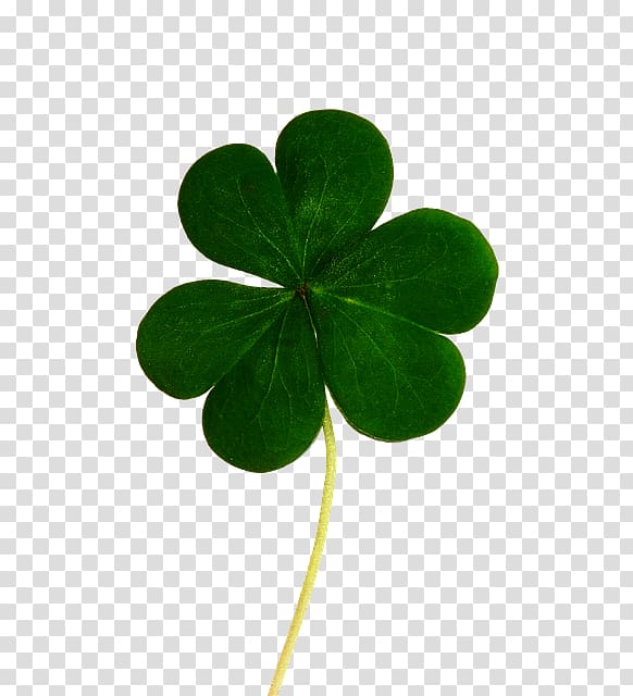 Saint Patrick\'s Day Republic of Ireland Luck Shamrock Black and Tan, lucky clover transparent background PNG clipart