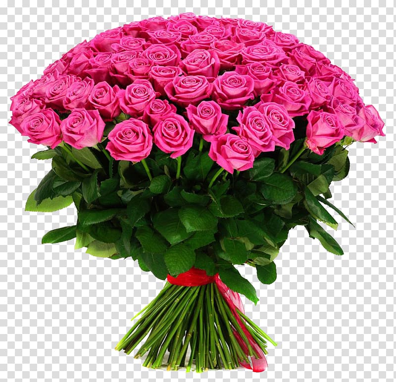 a bunch of pink roses transparent background PNG clipart