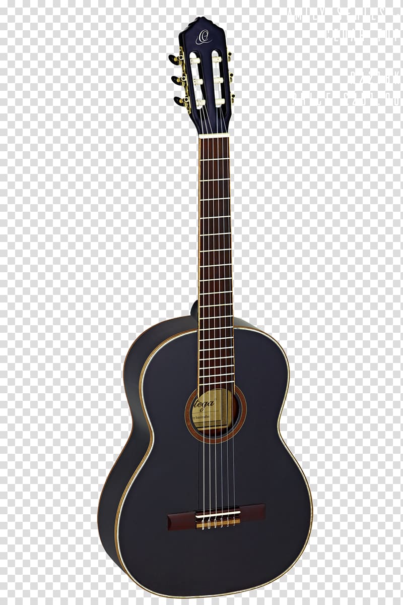 Twelve-string guitar Acoustic guitar C. F. Martin & Company Classical guitar, amancio ortega transparent background PNG clipart