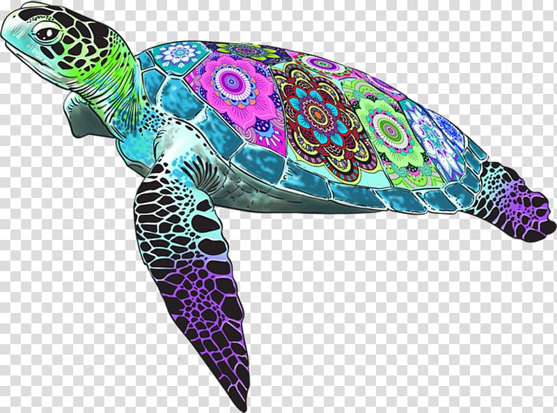 Loggerhead sea turtle Blob Farley A Grand Quest Binary large object, fancy fish transparent background PNG clipart