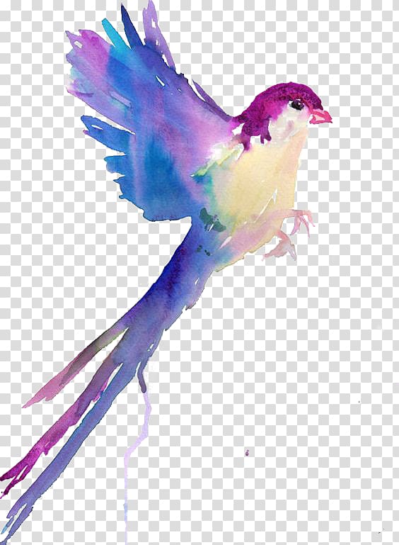 bird illustration, Bird Watercolor painting Drawing Sketch, Birds transparent background PNG clipart