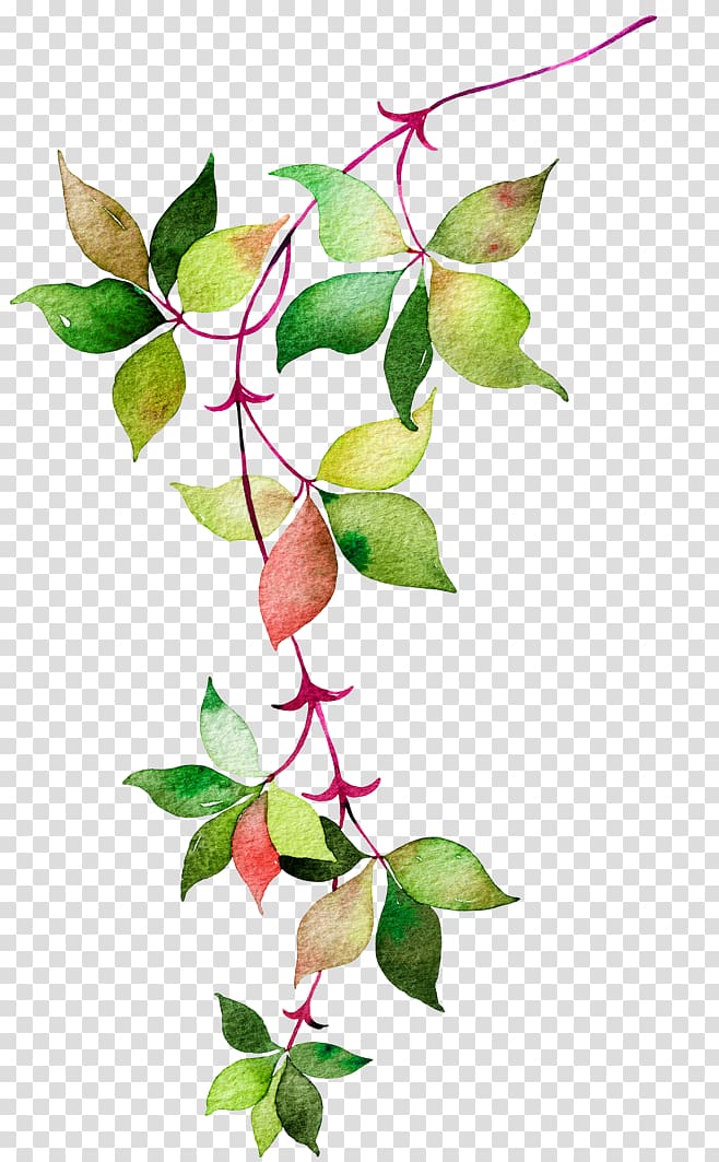 Flower Euclidean Icon, Watercolor leaves, green and red leaf transparent background PNG clipart