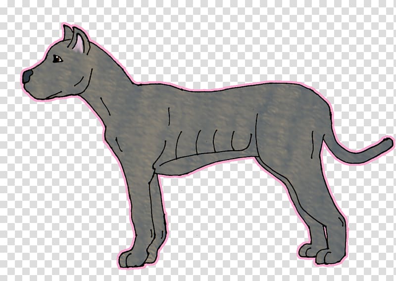 Cane Corso Dog breed English Mastiff Whiskers Cat, Cat transparent background PNG clipart