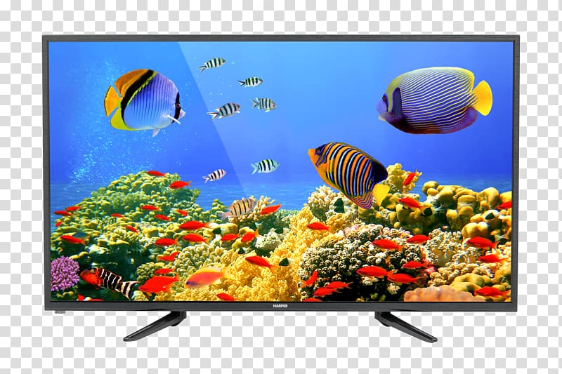 Desktop Retina Display Coral reef MacBook Pro, coral reef transparent background PNG clipart