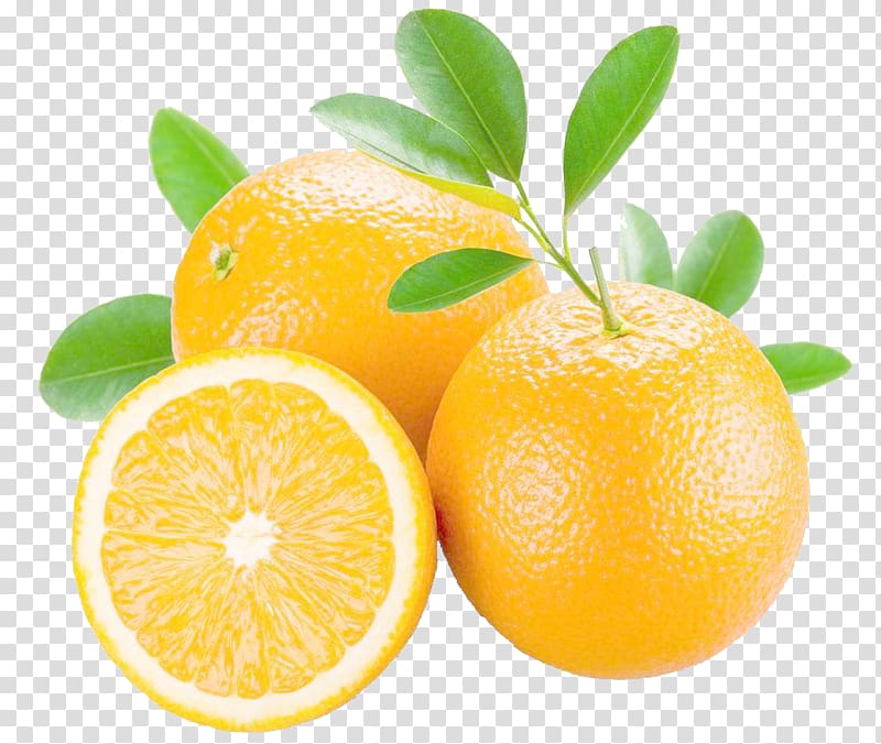 Orange juice Mandarin orange Grapefruit Bitter orange, orange transparent background PNG clipart