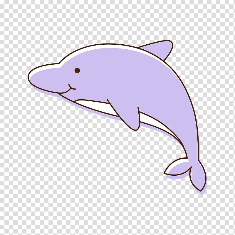 Tucuxi Common bottlenose dolphin Cartoon Porpoise , dolphin transparent background PNG clipart