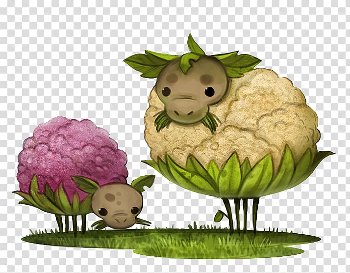 Cauliflower Cartoon Drawing Vegetable, Cartoon cauliflower design transparent background PNG clipart