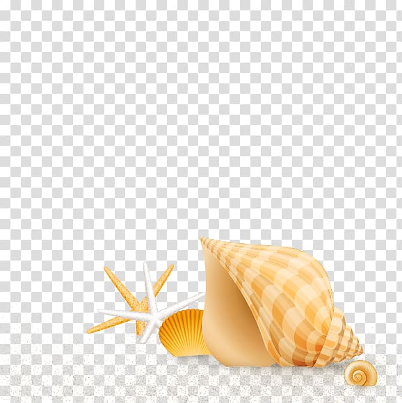 brown shell illustration, Playa de la Arena Seashell Beach, conch transparent background PNG clipart