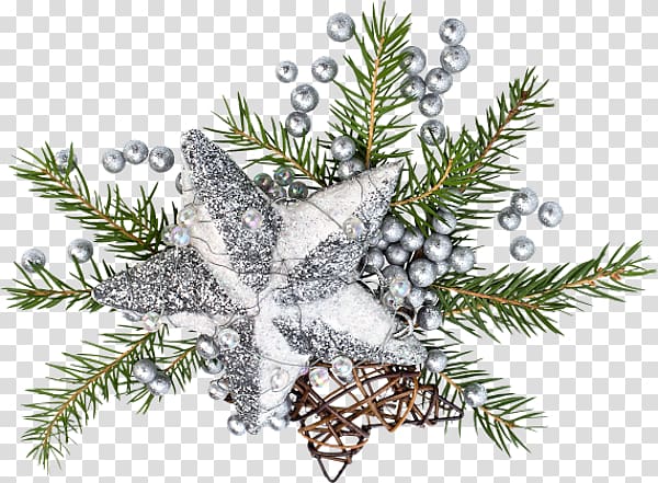 Fir Christmas ornament Spruce Christmas tree Twig, christmas tree transparent background PNG clipart
