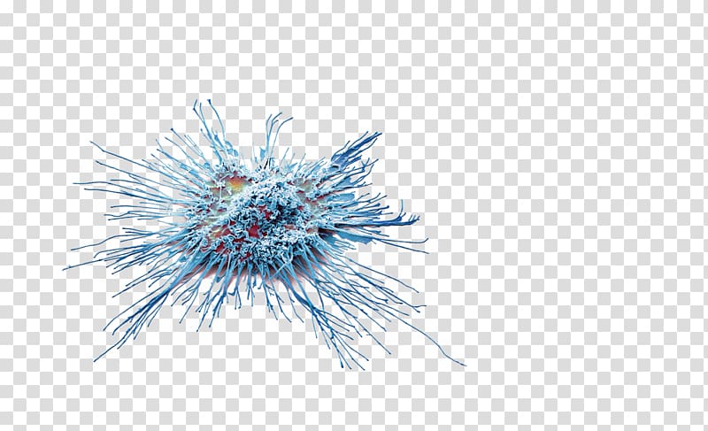 Dendritic cell Immunotherapy Cancer Allergopharma GmbH & Co. KG Skin, blossem transparent background PNG clipart