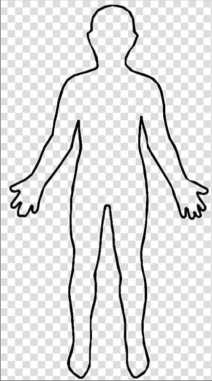 human illustration, Outline Person Homo sapiens , Female Shape transparent background PNG clipart