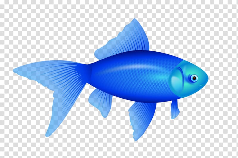 Fish , Blue Fish transparent background PNG clipart