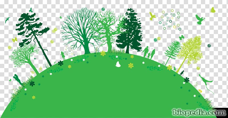 Arbor Day Foundation Tree planting What Tree is That?, Ecologia transparent background PNG clipart