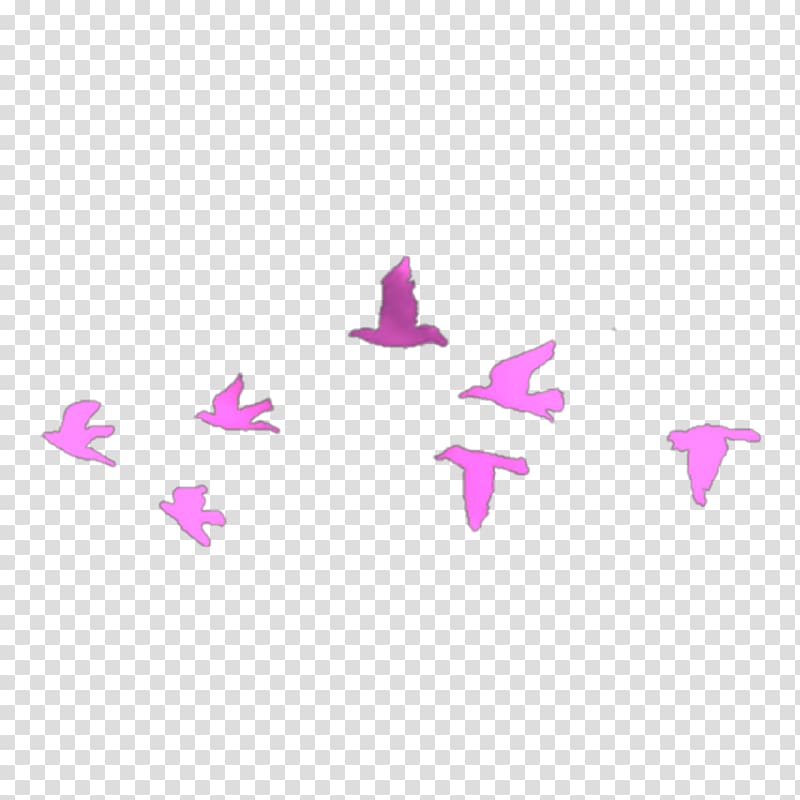 Bird flight Swallow Flock Tattoo, Bird transparent background PNG clipart