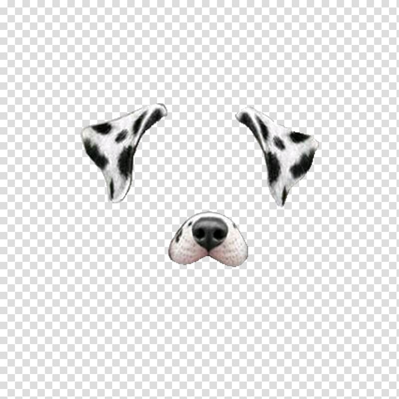 Dalmatian dog Miniature Schnauzer Snapchat , snapchat transparent background PNG clipart