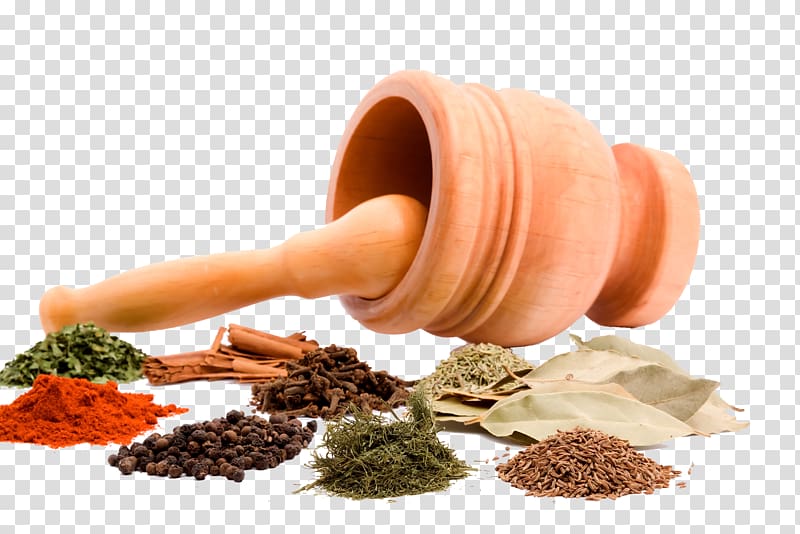 various spices and garlic mortar transparent background PNG clipart