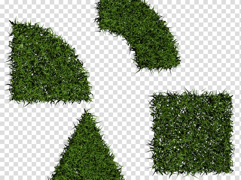 four green lawn, Desktop , others transparent background PNG clipart