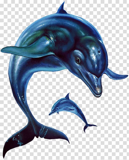 Ecco the Dolphin: Defender of the Future Ecco: The Tides of Time Sega CD, hayden panettiere transparent background PNG clipart