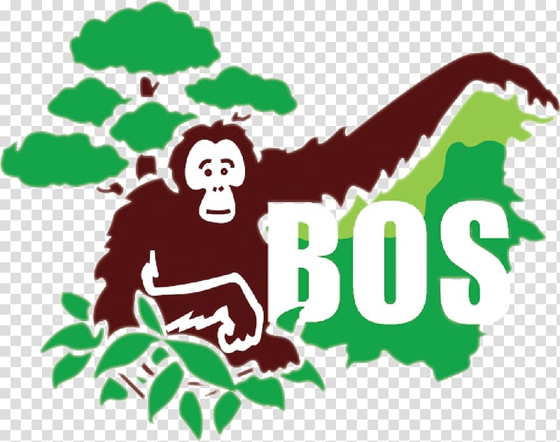 Borneo Orangutan Survival Bornean orangutan Chimpanzee Samboja Lestari, Orang Utan transparent background PNG clipart