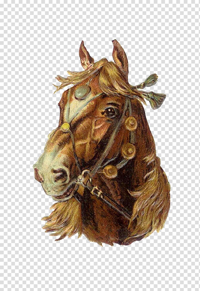 Shire horse Friesian horse Belgian horse American Paint Horse, antique horseshoes transparent background PNG clipart