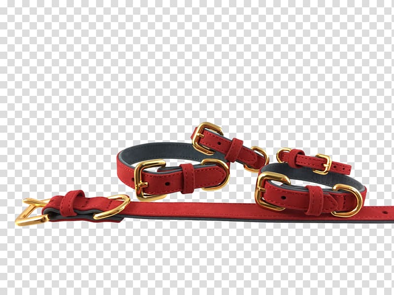 Leash Dog collar, Dog transparent background PNG clipart