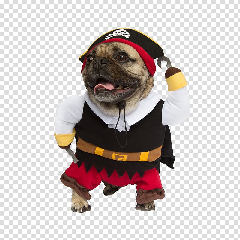 Dog breed Pug Halloween costume Clothing, Cat transparent background PNG clipart