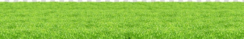 landscape of green grass, Lawn , Grass Green Grass transparent background PNG clipart