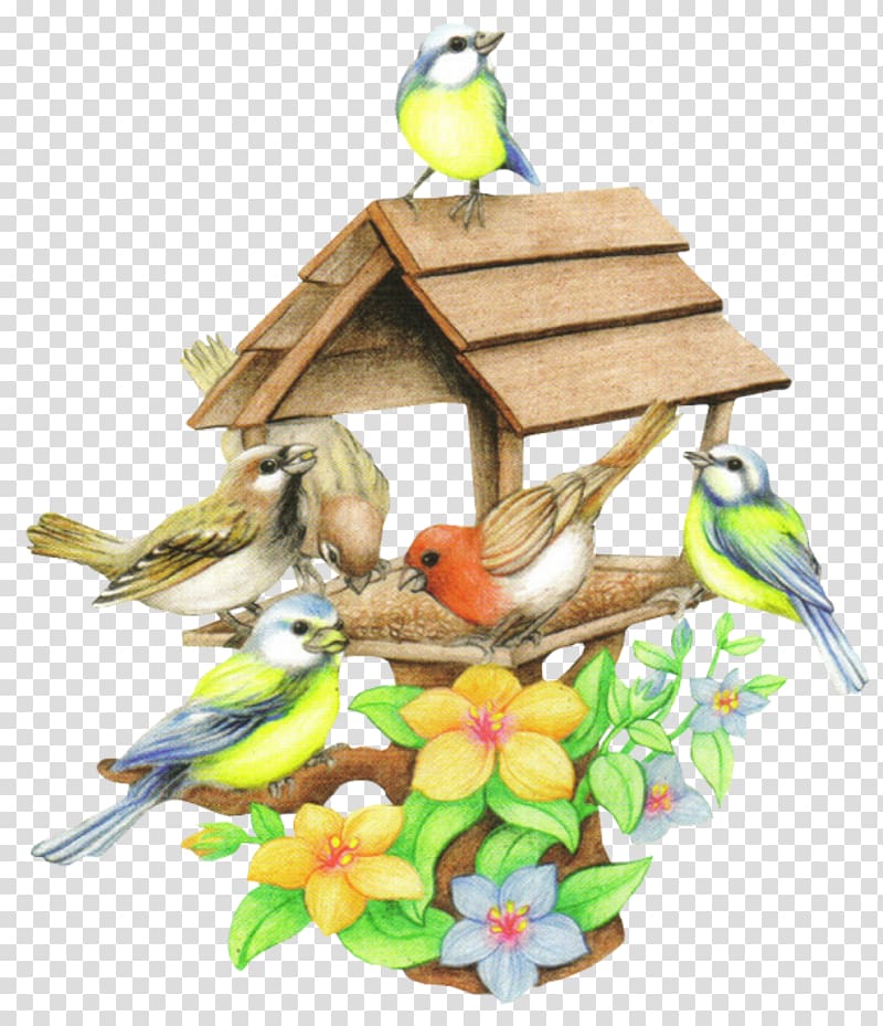 Bird Animated film Nest box, Bird transparent background PNG clipart