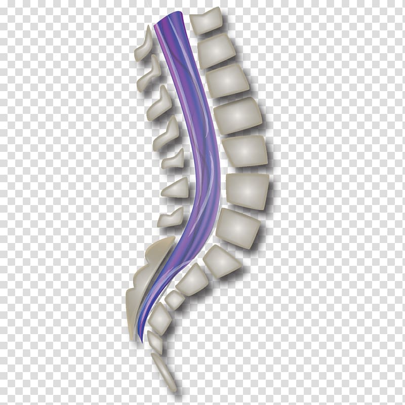Green Bay Packers Carpal tunnel syndrome Wrist pain Vertebral column, Spinal Cord transparent background PNG clipart