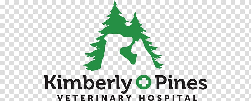 Kimberly Pines Veterinary Hospital Cat Dog West Kimberly Road Dr. Christy Fields, DVM, dogs practice their teeth transparent background PNG clipart