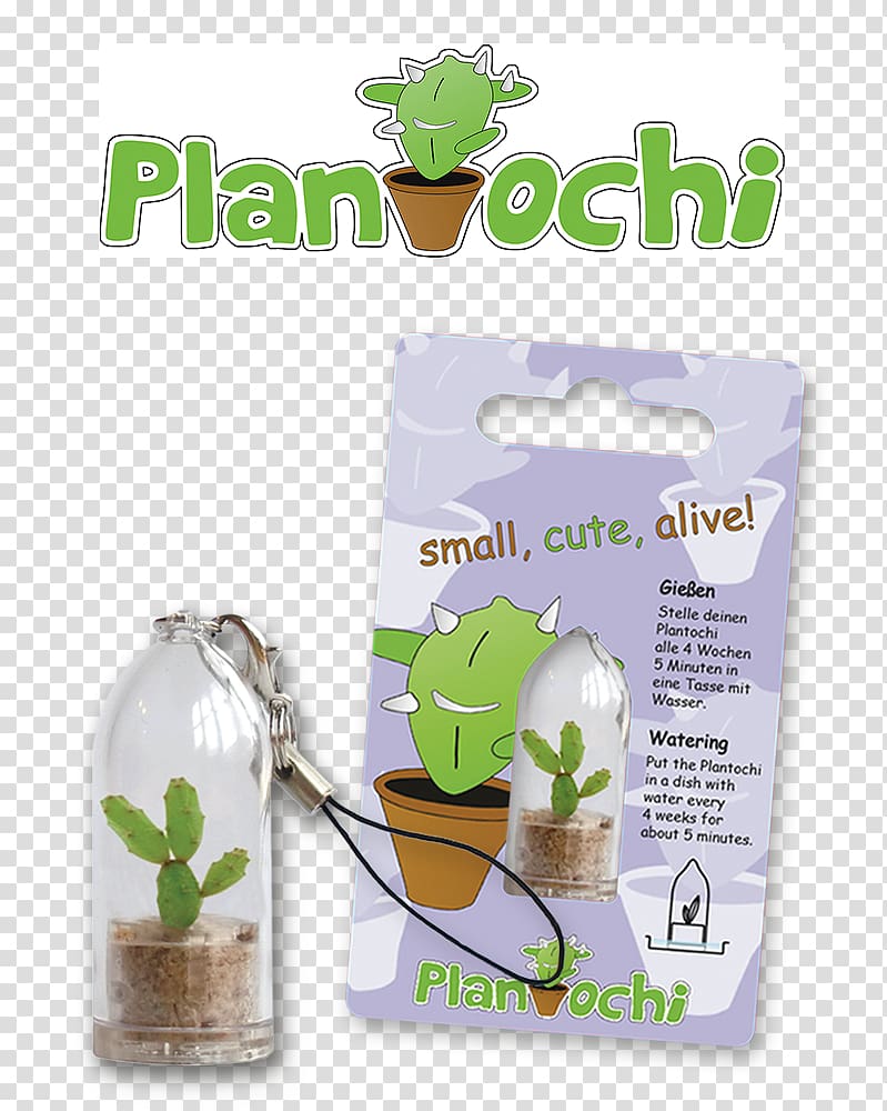 Backyard Garden, plant in hands transparent background PNG clipart