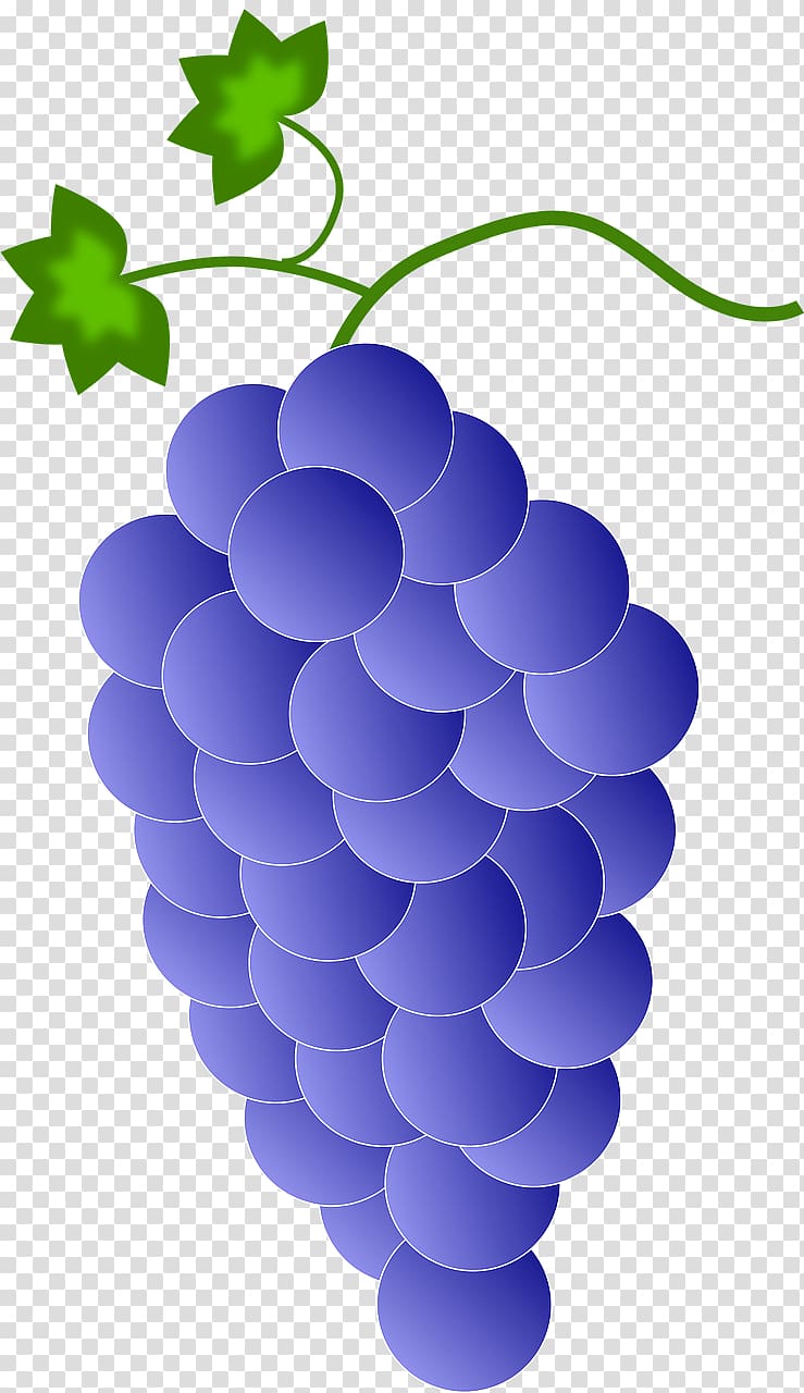 Red Wine Common Grape Vine , Purple grape cluster transparent background PNG clipart