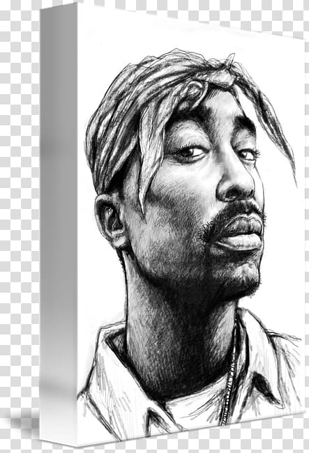 Drawing Art Canvas print Rapper Sketch, Tupac Shakur transparent background PNG clipart